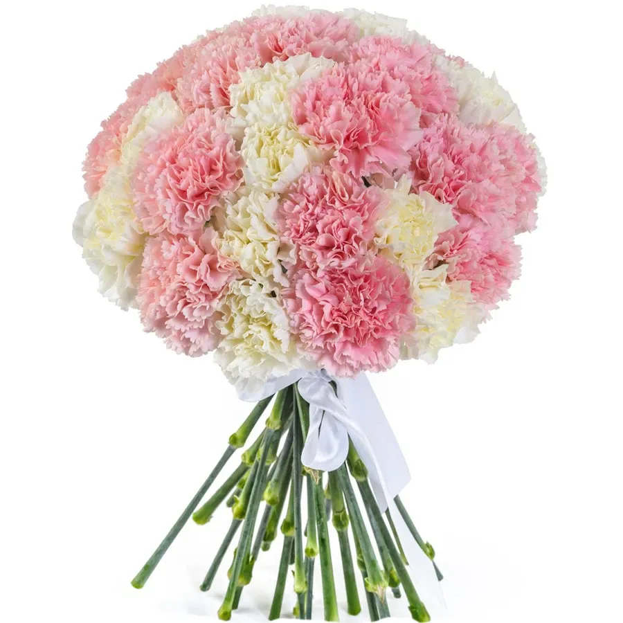 Гвоздики микс